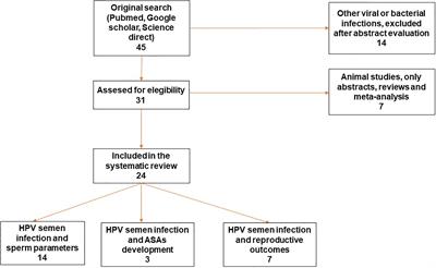 Is HPV the Novel Target in Male Idiopathic Infertility? A Systematic Review of the Literature